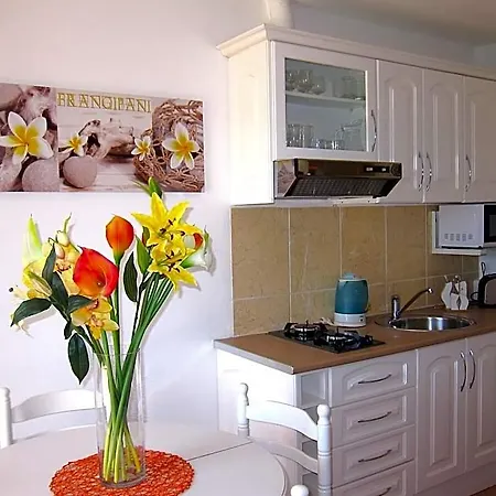 מלון Casa Da Horta 14 4*